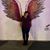 Linda Sellars's profile image