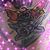 Linda Klontz's profile image