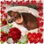 Brenda Magalich's profile image