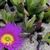 Debbie Harri's profile image