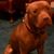 Cicely Howard's profile image