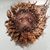Morgan Borchardt's profile image