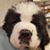 Tracey Leclaire Barnes's profile image