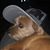 Lane Mathison's profile image