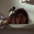 Hunny B Fine's profile image