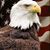 Roel Zamora's profile image