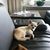 Antje Fritsch's profile image