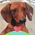 Deb Neiman's profile image