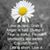 Wendy Fuller's profile image