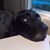 Ron Ketcham's profile image