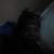 Angela Guyton's profile image