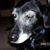 Barbara Longcrier's profile image