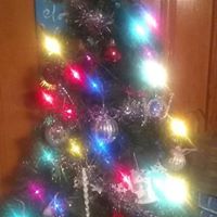 Melissa Burch's profile image