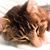 Sheila Zimmerman's profile image