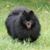 Lotci D. Doggins's profile image
