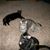 Dawn Stoy Freed's profile image