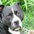 Cindy Brand's profile image