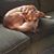 Maggie Symington's profile image
