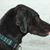 Joan Beckman Hardy's profile image