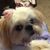 Dorothy Burgess Riddle's profile image