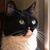 Liz Beyer's profile image
