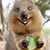 Sarahkiah Comesin's profile image