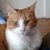 Donna Wilson's profile image
