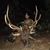 Brandon Owens's profile image
