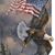 Rhonda Levacy-Rogers's profile image