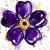 Tina LoPresti's profile image