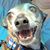 Josh Talbott's profile image