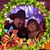 Jeff Stearns's profile image