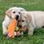 Teresa Gordy-Brown's profile image