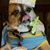 Martz Milner's profile image