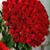 Violeta Acuña Segura's profile image
