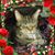 Ellen Hodgson's profile image