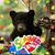 Jinger Bray's profile image