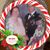 Mary Blickhahn's profile image