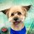 Barbara Toone's profile image