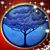 Carla Westerfeld's profile image