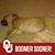 Tom Hicks's profile image