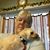 Marlene M. DiBenedetto's profile image