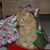 Nancy Cameron's profile image