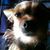 Carly 'Shmee''s profile image