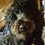 Barry DeBaun's profile image
