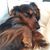 Kim Morgan Bove's profile image