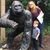 Deb Ansinelli Patton's profile image