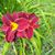 Jessy Jones Lasley's profile image