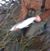 Nathan Marsengill's profile image