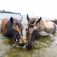 Hope Spencer's profile image